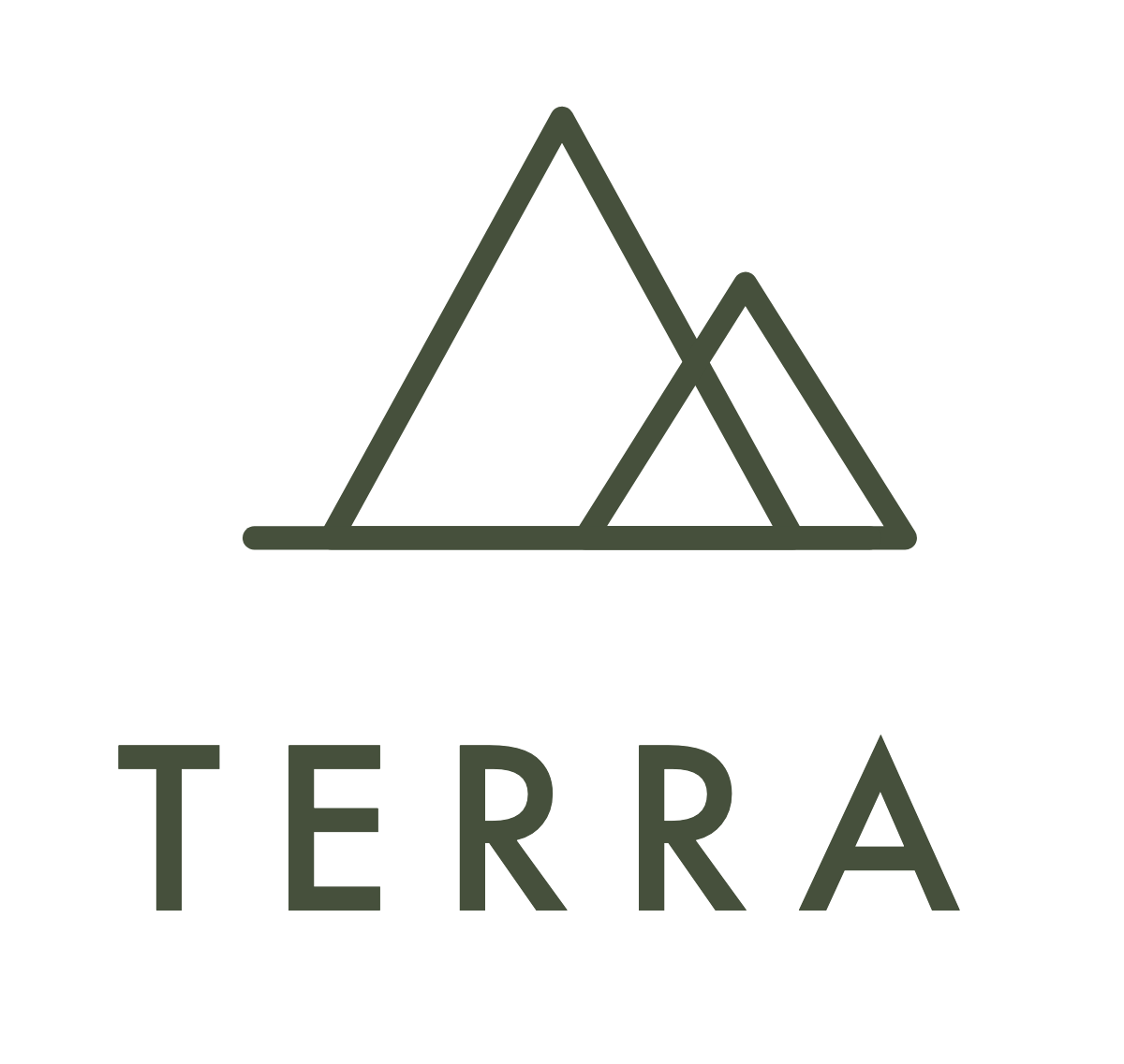 Logotipo TERRA en verde olivo con dos montañas de trazo abierto sobre una línea de horizonte y la palabra en capitulares geométricas