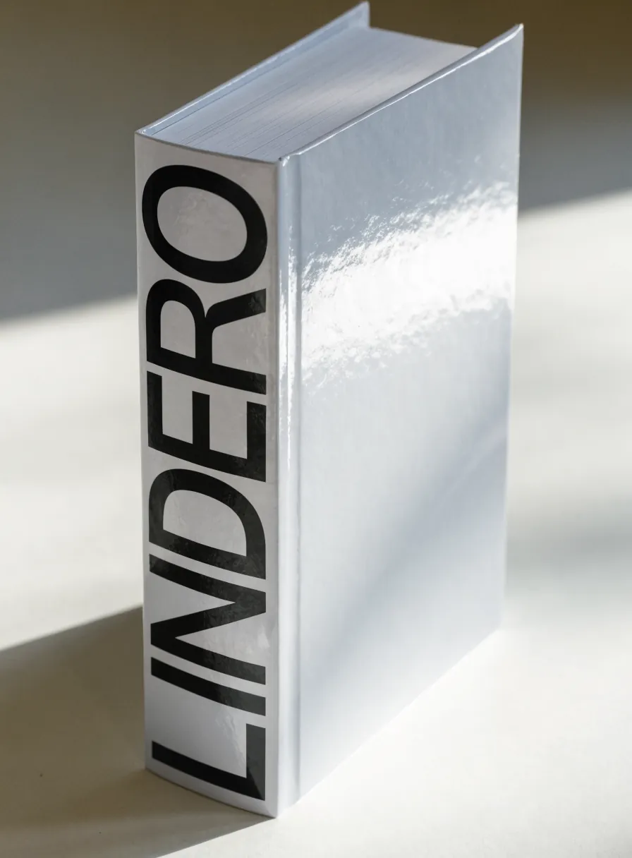 libro de lomo cuadrado encuadernado a la rústica, de pie, con la palabra LINDERO en tipografía negra grande subiendo por la portada brillante